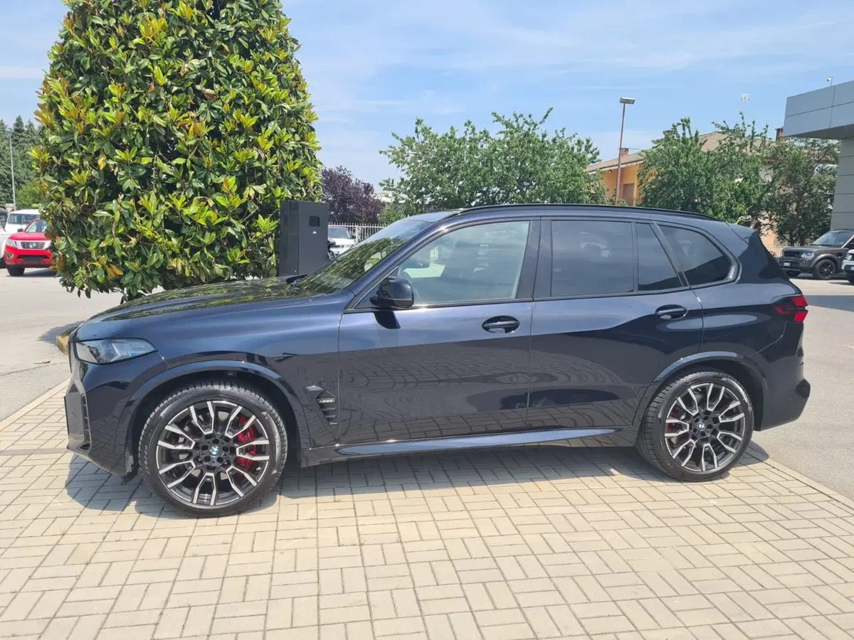 BMW X5 usata a Cuneo (6)