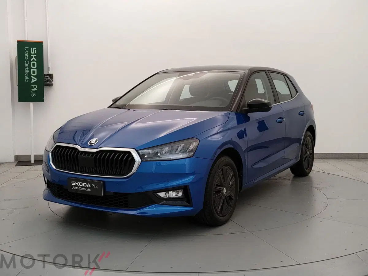 Skoda Fabia usata a Varese