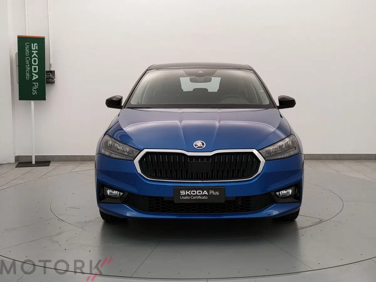 Skoda Fabia usata a Varese (2)