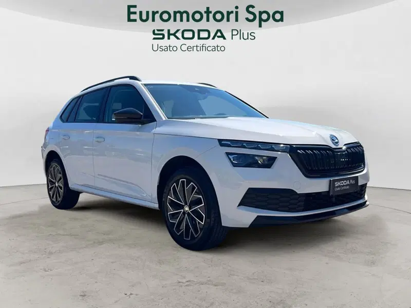 Skoda Kamiq usata a Grosseto (7)