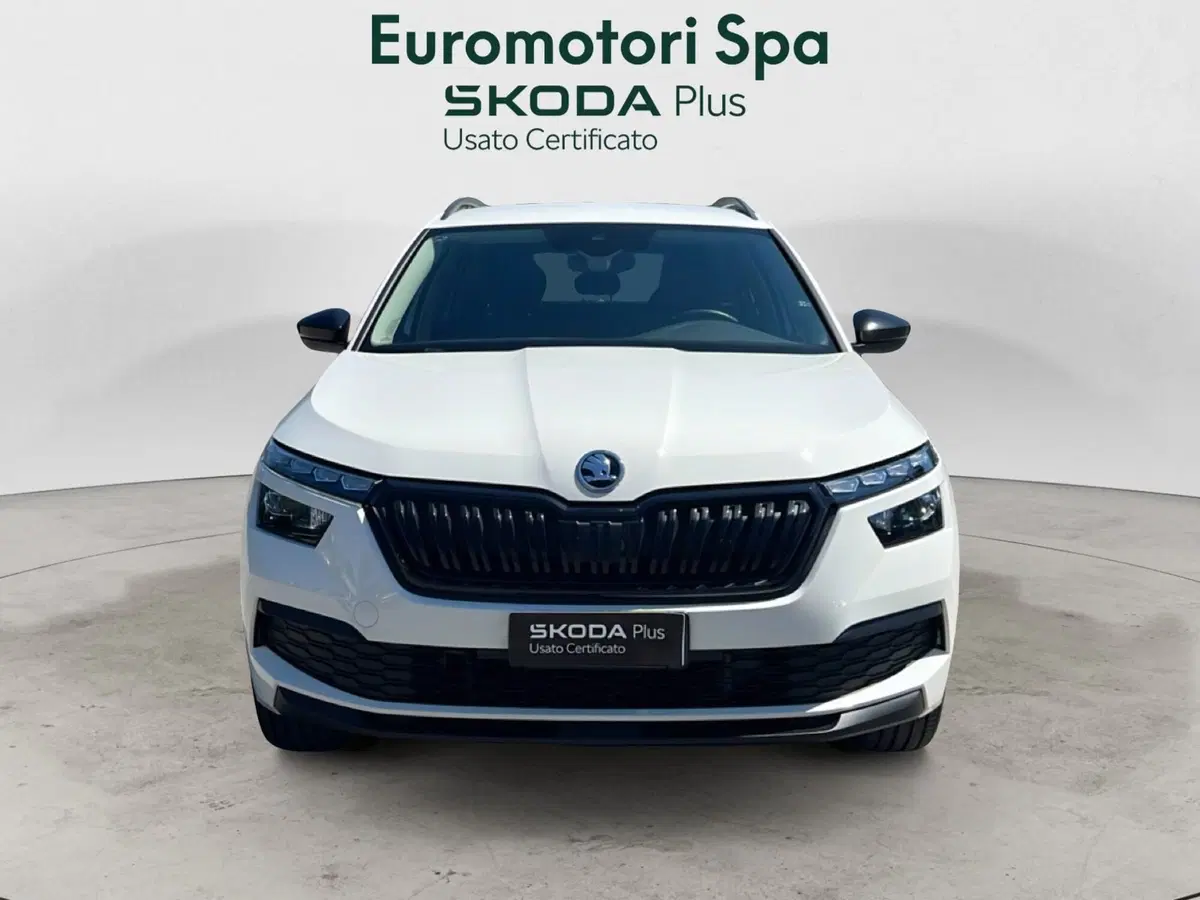 Skoda Kamiq usata a Grosseto (8)