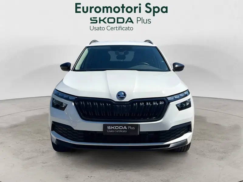 Skoda Kamiq usata a Grosseto (8)