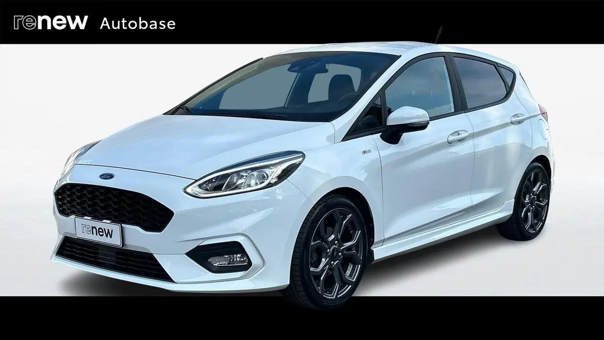 Ford Fiesta usata a Padova