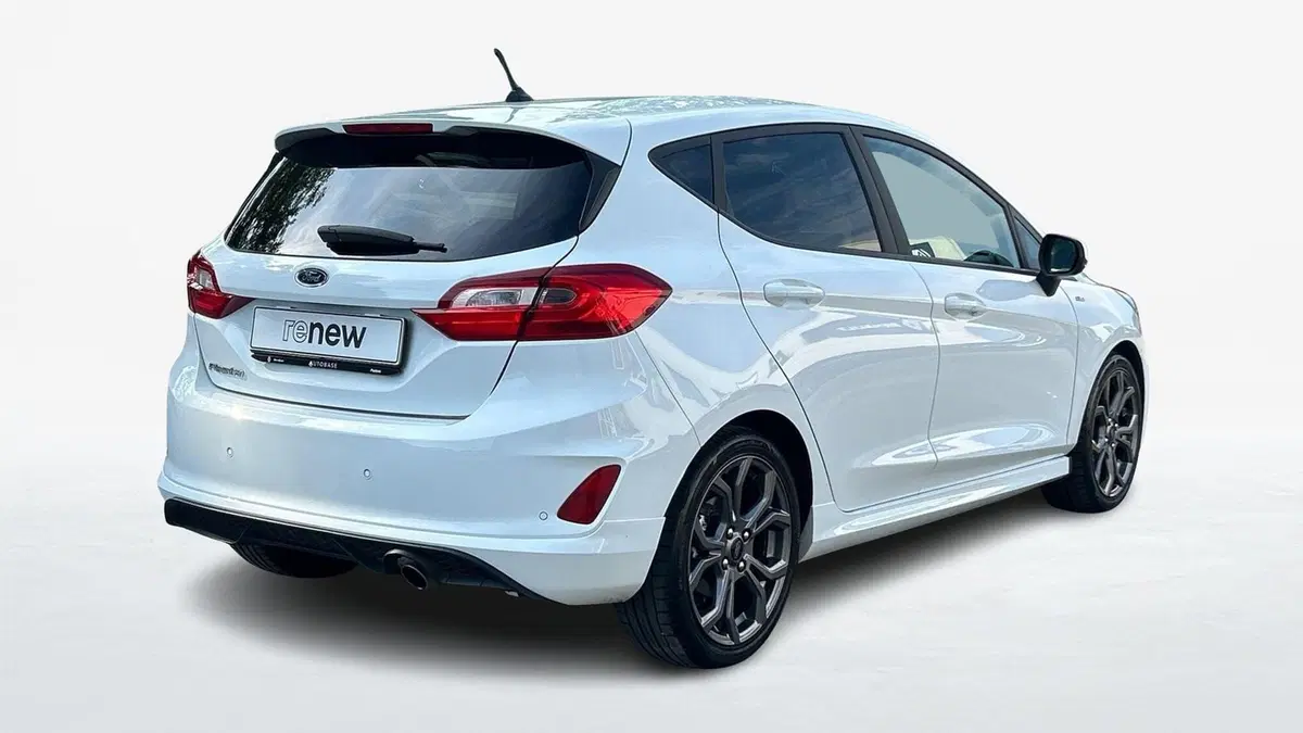 Ford Fiesta usata a Padova (2)