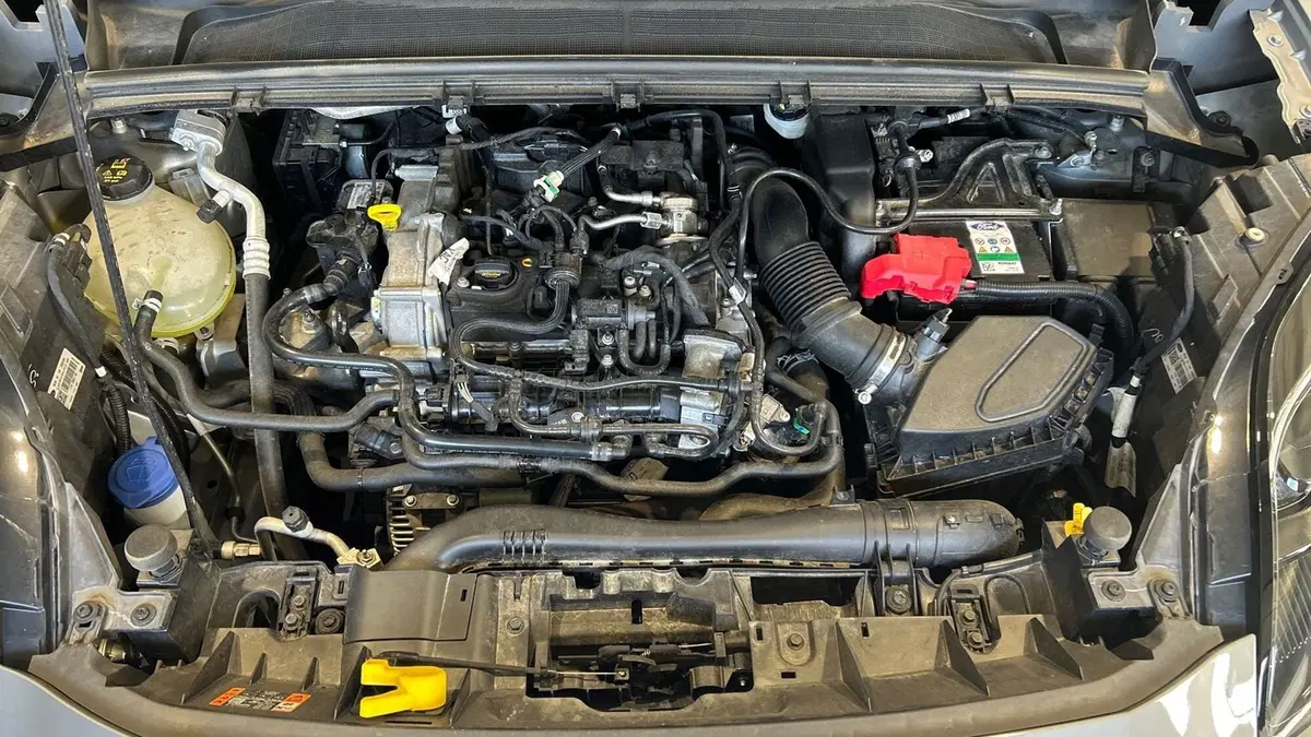 Ford Puma usata a Padova (18)