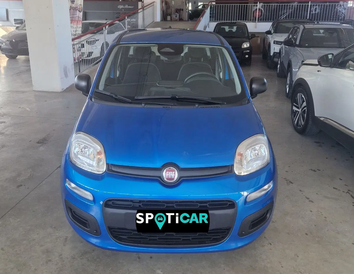 Fiat Panda nuova a Terni (2)