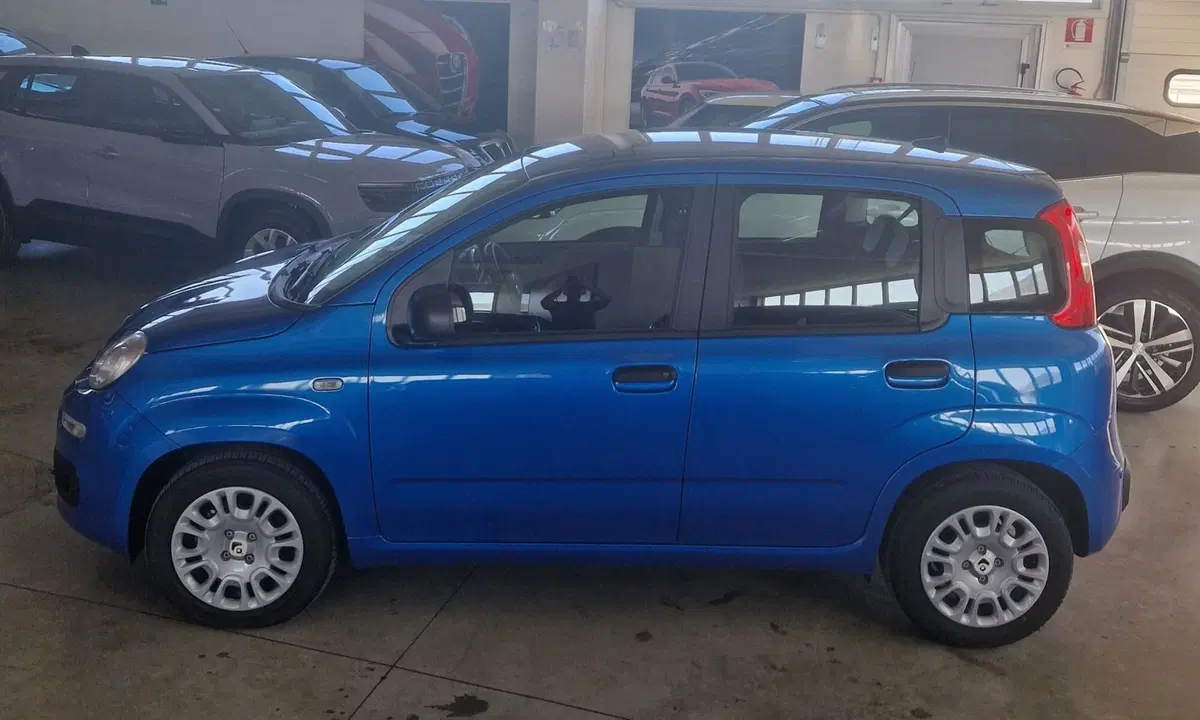 Fiat Panda nuova a Terni (3)