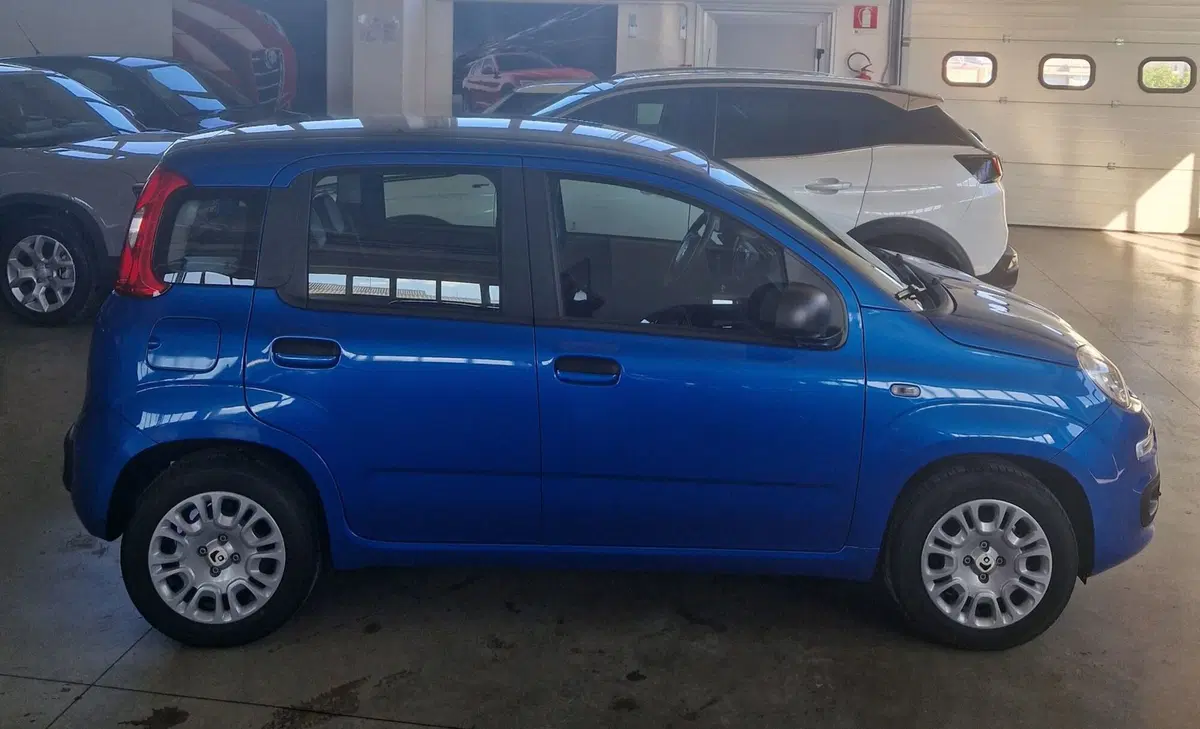 Fiat Panda nuova a Terni (6)