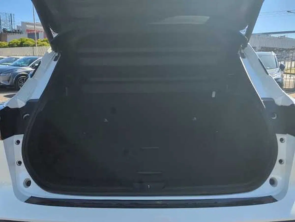 Nissan Qashqai usata a Roma (5)