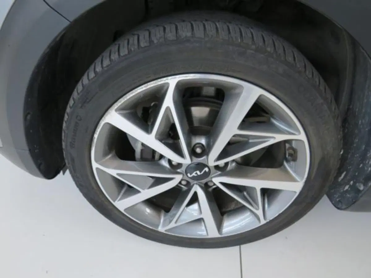 Kia Niro usata a Lodi (15)