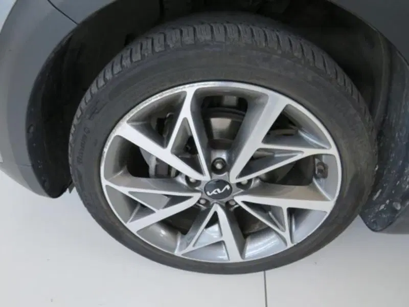 Kia Niro usata a Lodi (15)