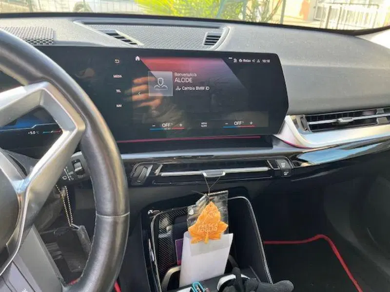 BMW X1 usata a Verbano Cusio Ossola (7)