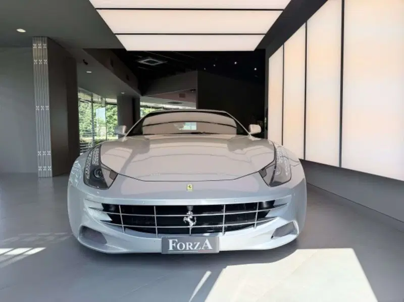 Ferrari FF Coupé usata a Torino (2)