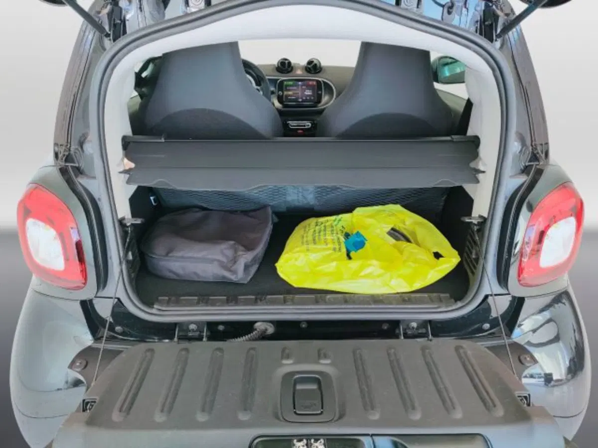 smart Fortwo usata a Teramo (10)