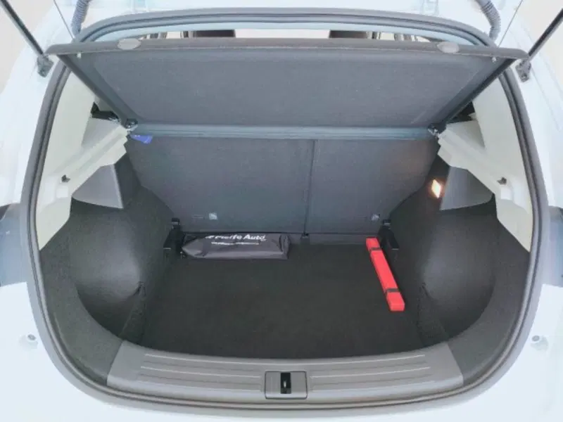Mg ZS usata a Teramo (12)