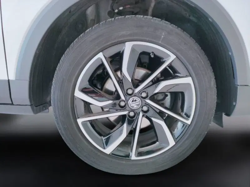 Mg ZS usata a Teramo (9)
