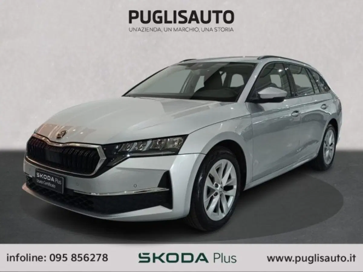 Skoda Octavia Station Wagon usata a Catania (3)