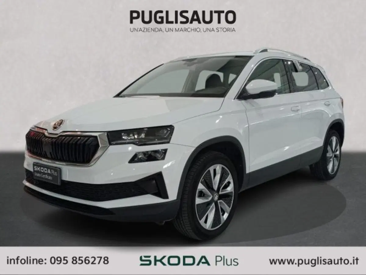 Skoda Karoq usata a Catania (3)