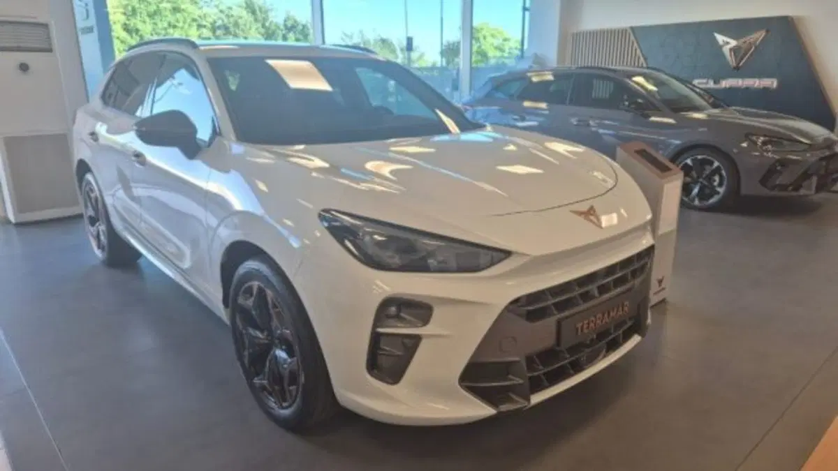 Cupra Terramar nuova a Bologna