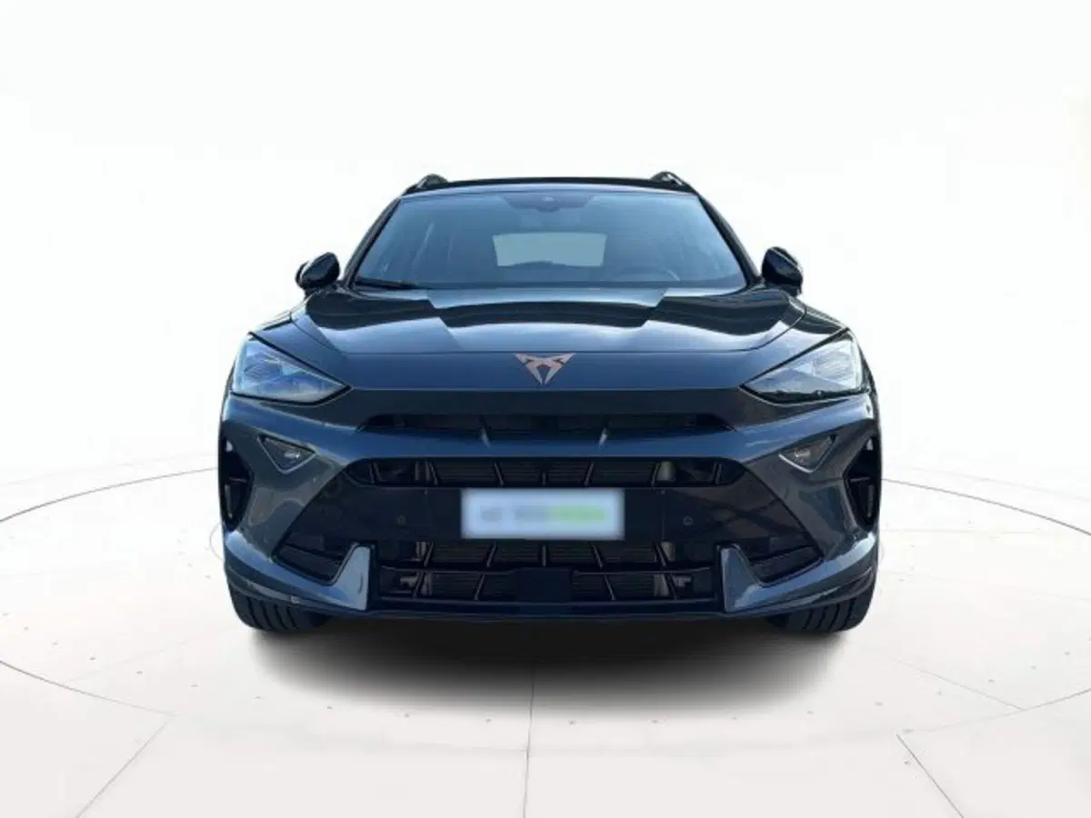 Cupra Formentor usata a Vicenza (2)