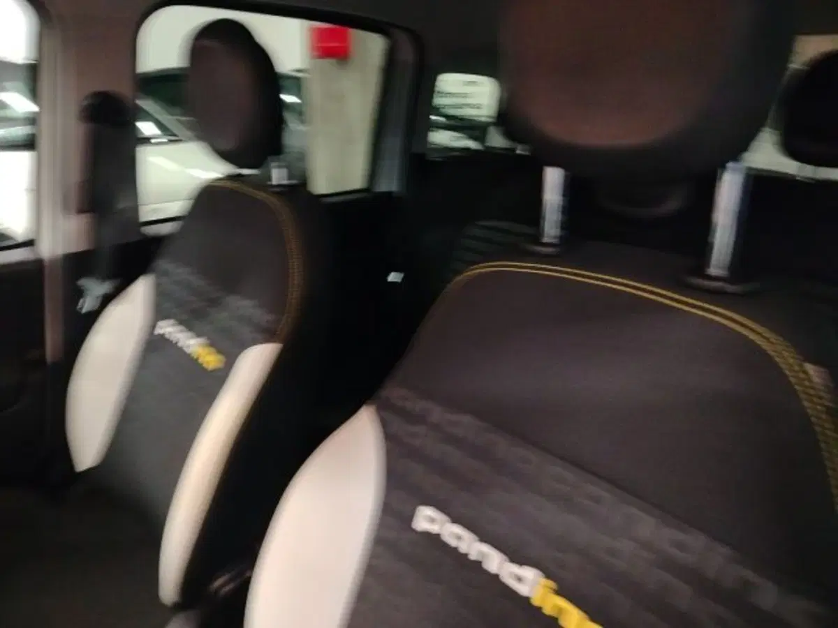 Fiat Panda usata a Forlì-Cesena (15)