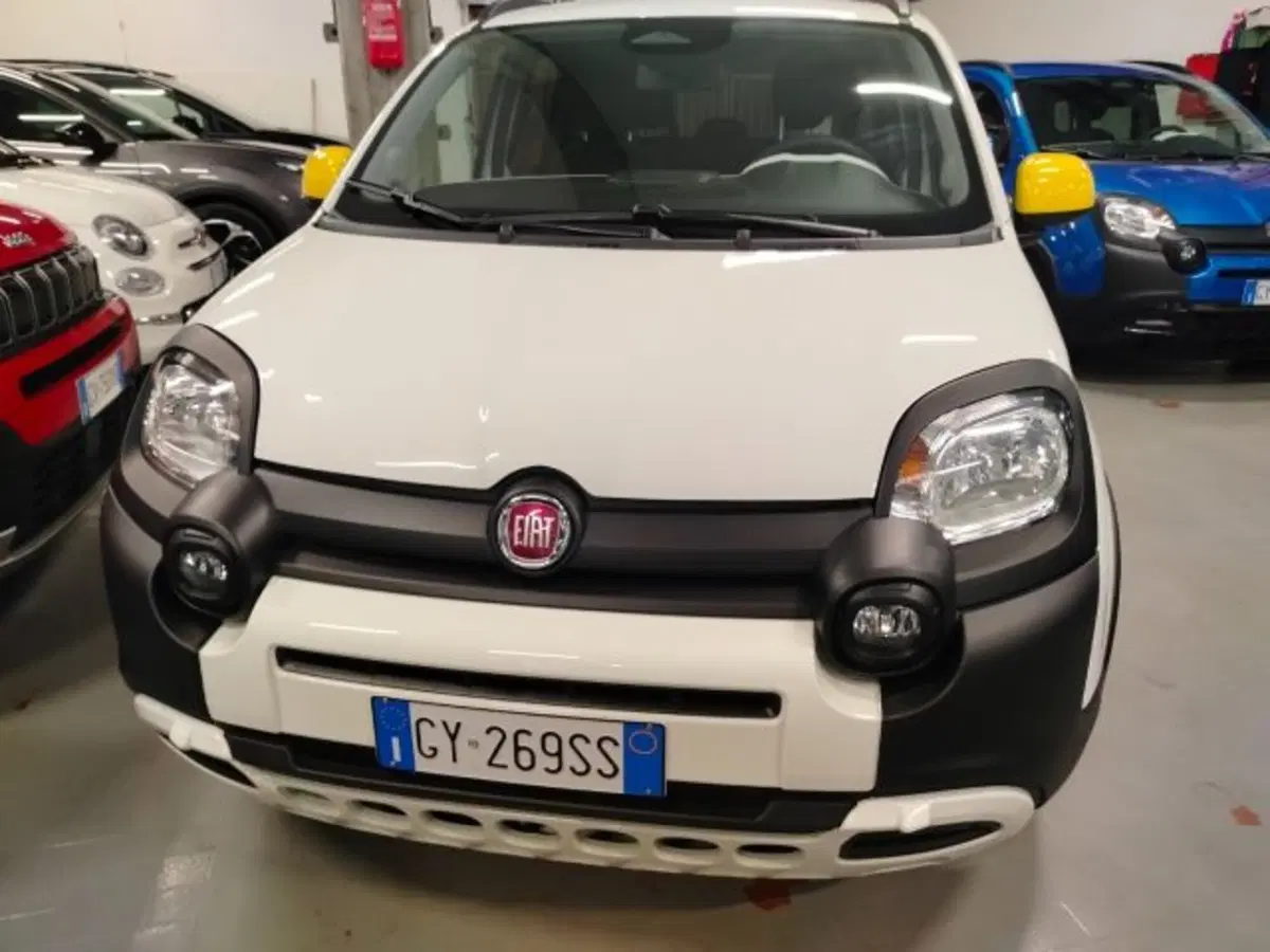 Fiat Panda usata a Forlì-Cesena (2)