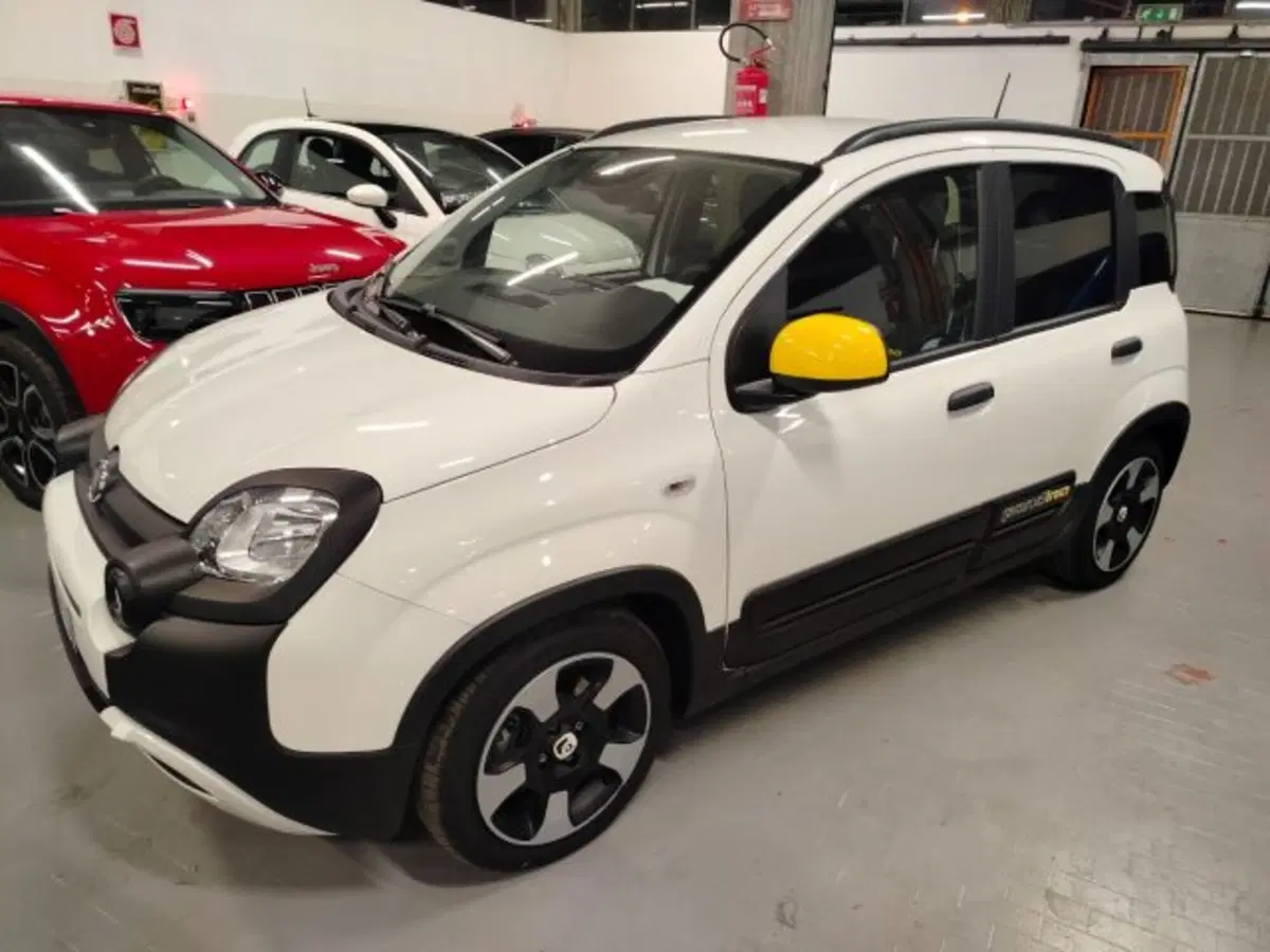 Fiat Panda usata a Forlì-Cesena (5)