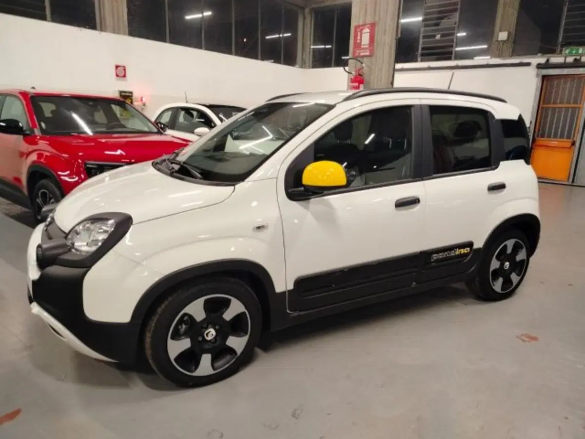 Fiat Panda usata a Forlì-Cesena (6)