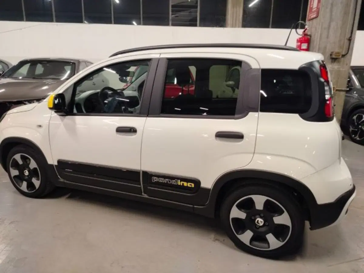 Fiat Panda usata a Forlì-Cesena (7)