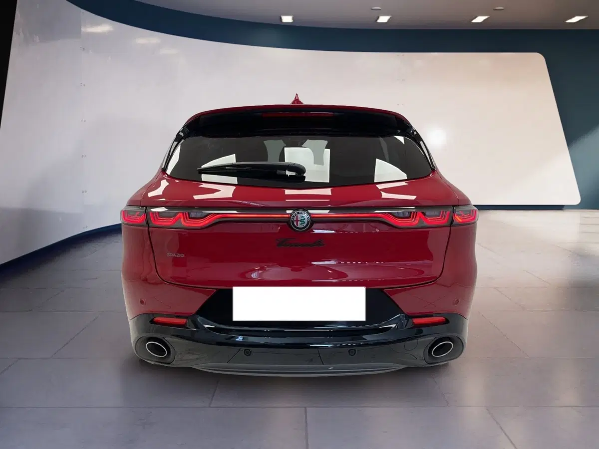 Alfa Romeo Tonale usata a Torino (5)