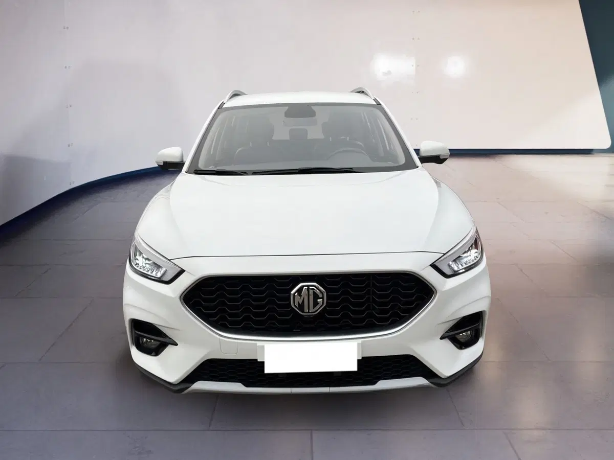 Mg ZS usata a Torino
