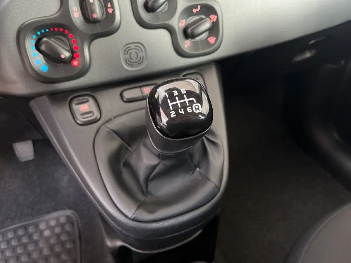 Fiat Panda Cross usata a Torino (12)