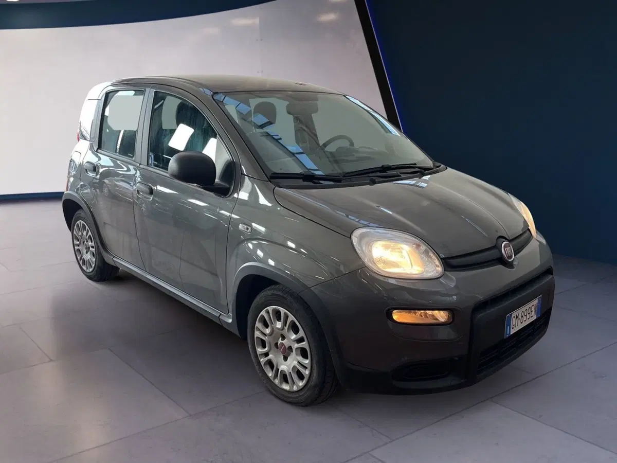 Fiat Panda Cross usata a Torino (2)