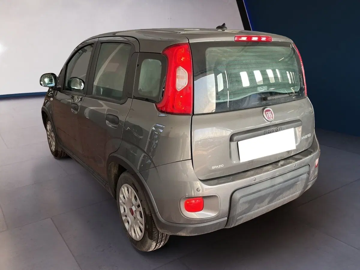 Fiat Panda Cross usata a Torino (4)