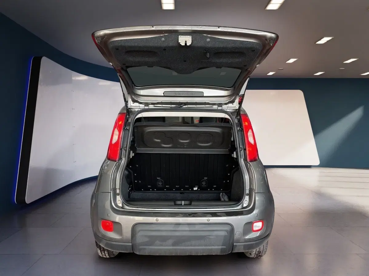 Fiat Panda Cross usata a Torino (7)