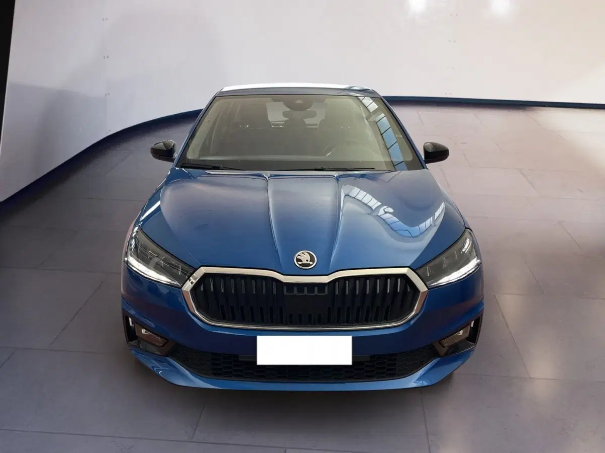 Skoda Fabia usata a Torino