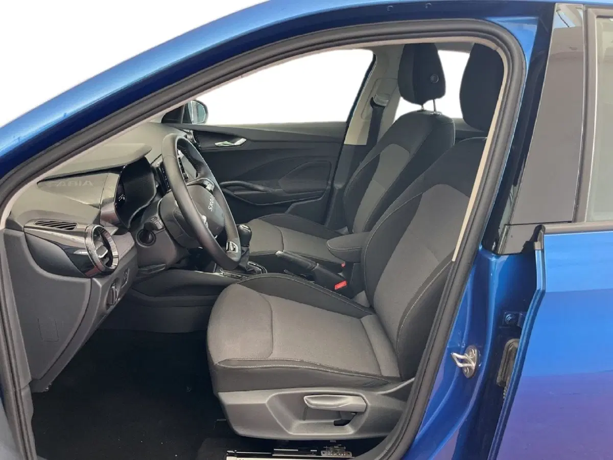 Skoda Fabia usata a Torino (10)