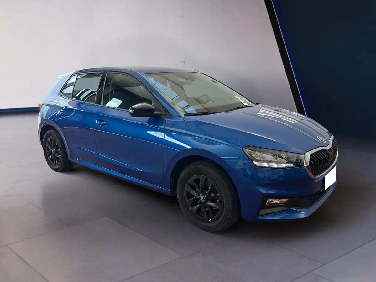 Skoda Fabia usata a Torino (2)