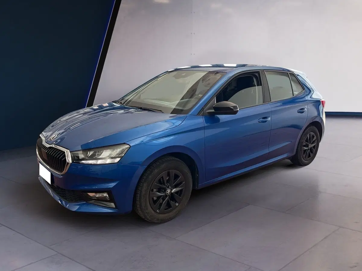 Skoda Fabia usata a Torino (3)
