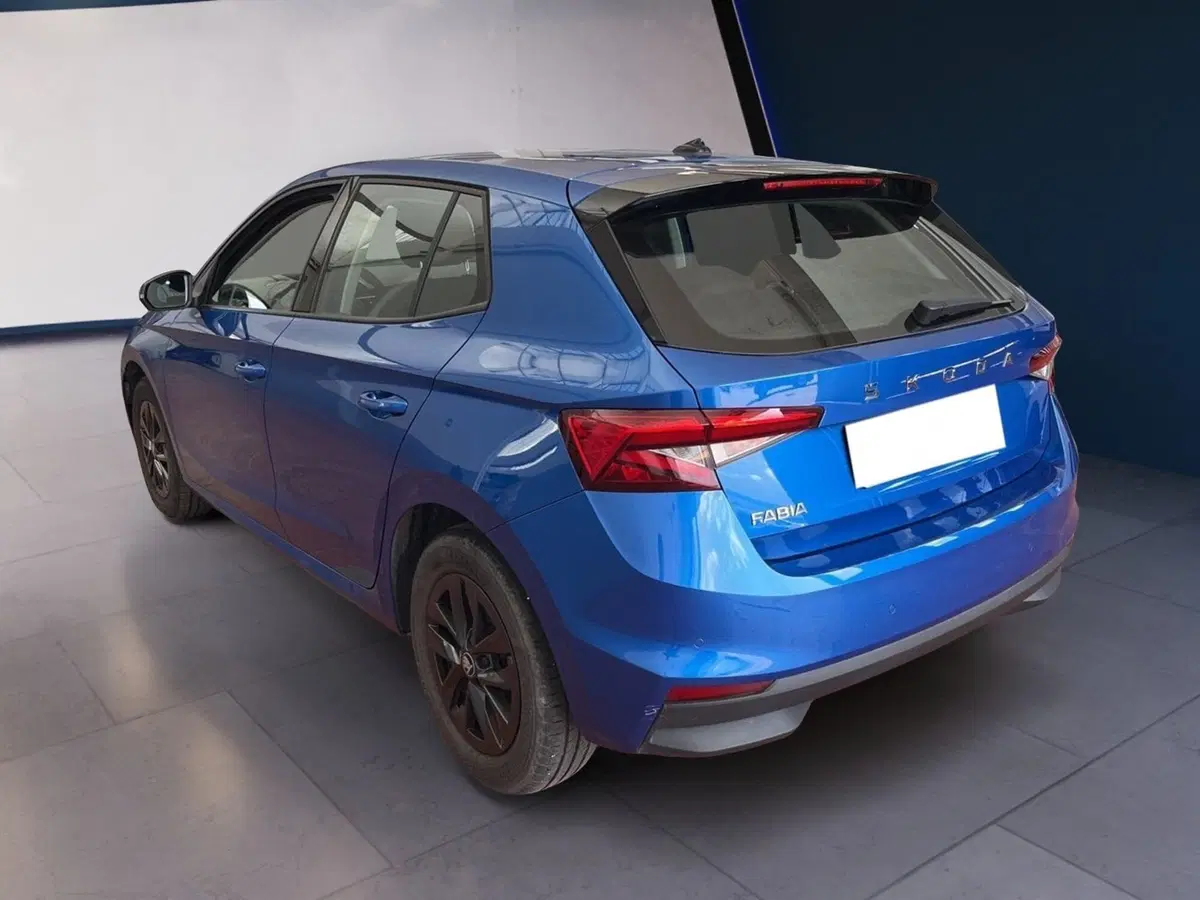 Skoda Fabia usata a Torino (4)