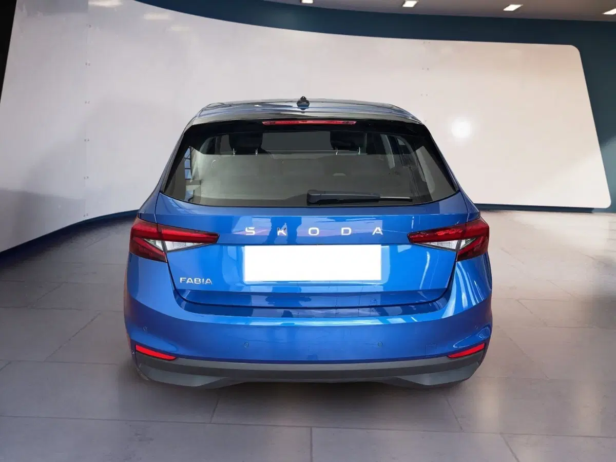 Skoda Fabia usata a Torino (5)
