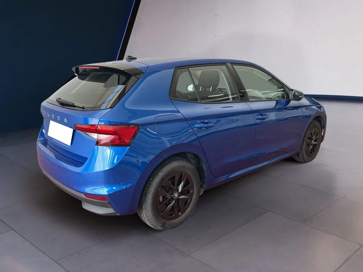 Skoda Fabia usata a Torino (6)