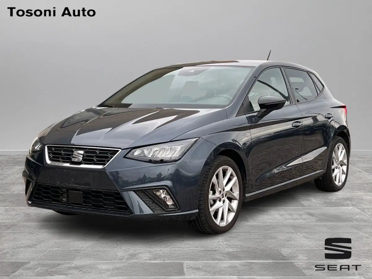 SEAT Ibiza usata a Arezzo