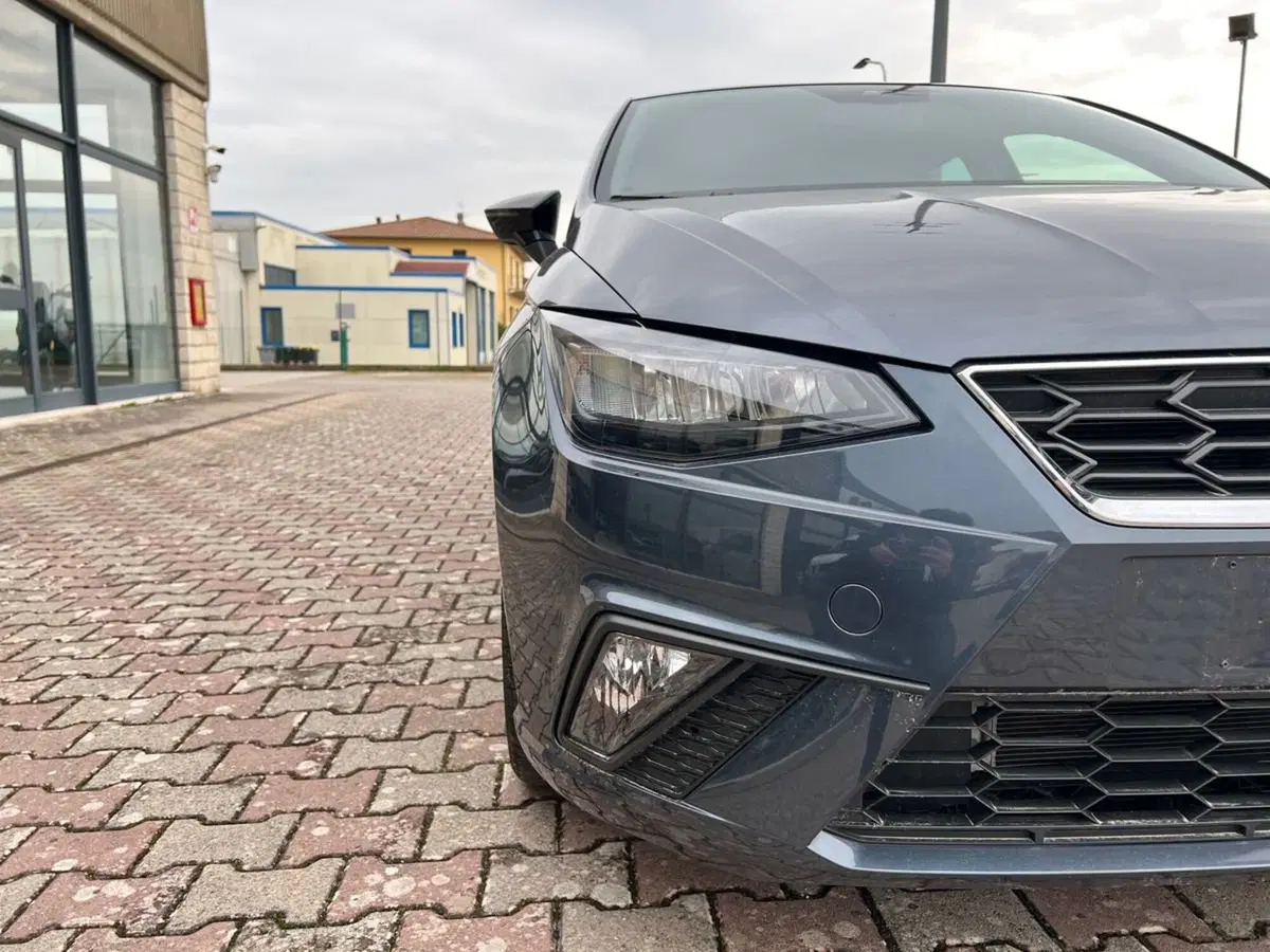 SEAT Ibiza usata a Arezzo (18)