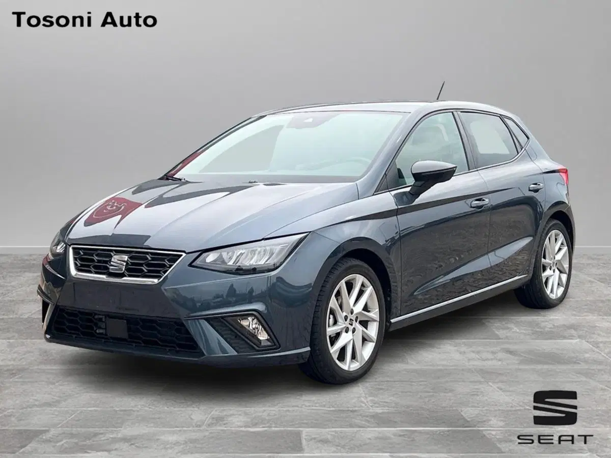 SEAT Ibiza usata a Siena
