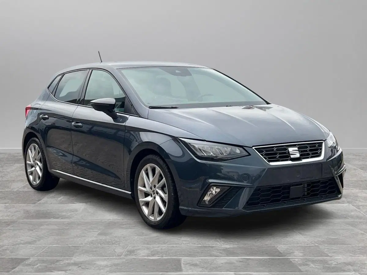 SEAT Ibiza usata a Siena (2)