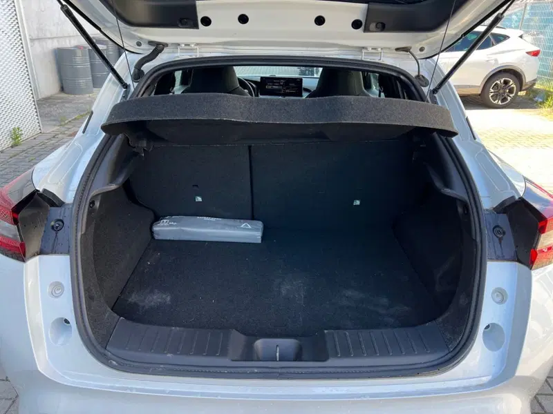 Nissan Juke usata a Siena (15)