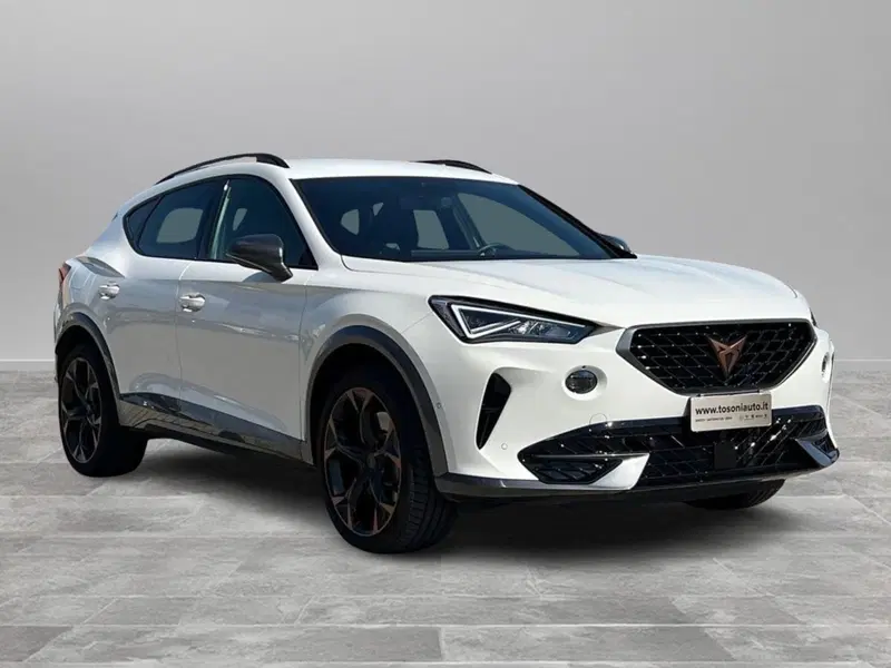 Cupra Formentor usata a Siena (2)