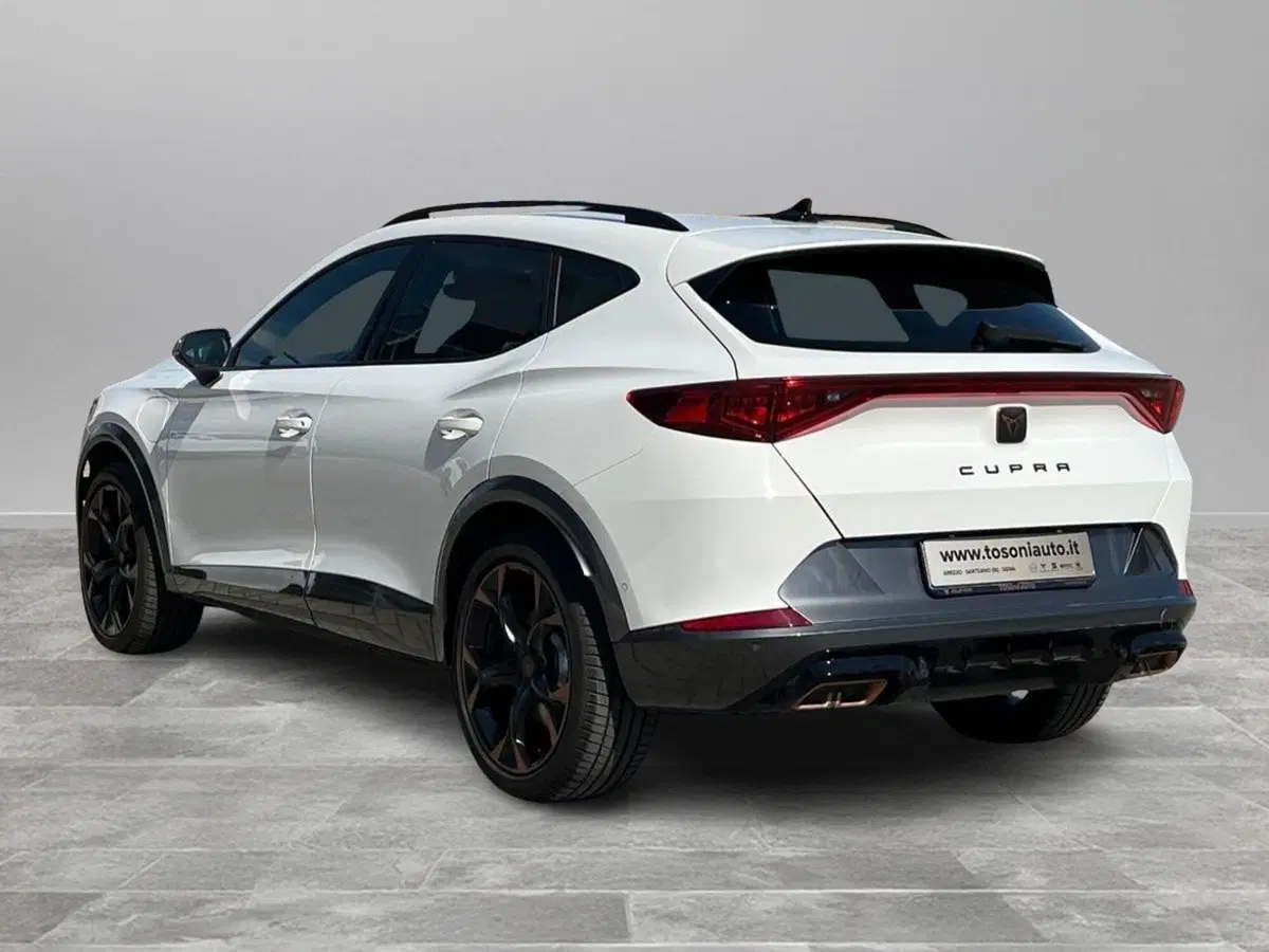 Cupra Formentor usata a Siena (7)