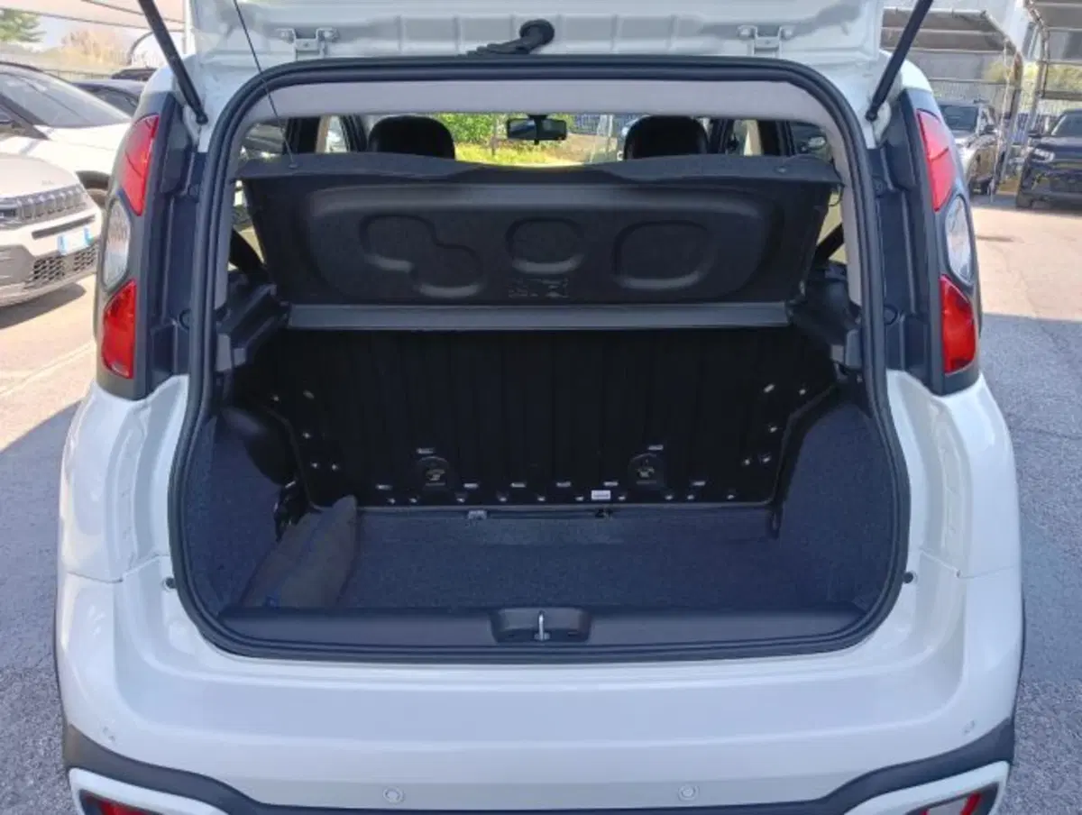Fiat Panda Cross usata a Brescia (14)